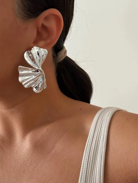 گوشواره اقتصادی نقره ای